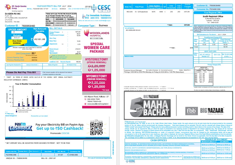 INDIA CESC LIMITED business utility bill Word and PDF PSD template